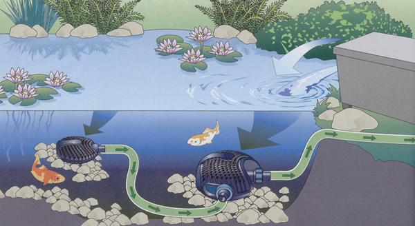 AQUAMAX Filterspeisepumpe