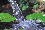 Bachlauf und Wasserfall im Garten