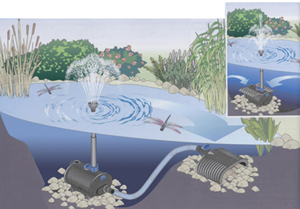 Wasserspiel im Gartenteich